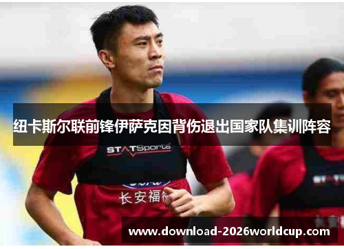 纽卡斯尔联前锋伊萨克因背伤退出国家队集训阵容